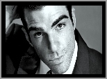 Zachary Quinto, Aktor, Przystojny, Mężczyzna, Spojrzenie